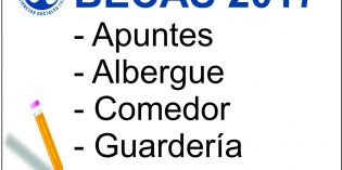 Solicitudes de becas para 2017 en la FHyCS-UNaM Solicitudes de becas para 2017 en la FHyCS-UNaM