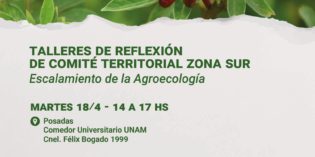 Talleres de reflexión de comité territorial Zona Sur Talleres de reflexión de comité territorial Zona Sur