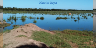 Presentación del libro “Política: Dictadura, exilio e impacto en la familia” Presentación del libro “Política: Dictadura, exilio e impacto en la familia”
