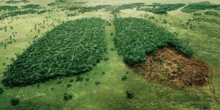 Especialista hablará sobre Antropología Ecológica