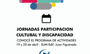 Jornadas de participación: cultura y discapacidad