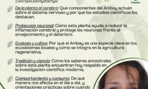Actividades sobre neuropsicología de las plantas medicinales en la FHyCS