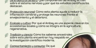 Actividades sobre neuropsicología de las plantas medicinales en la FHyCS
